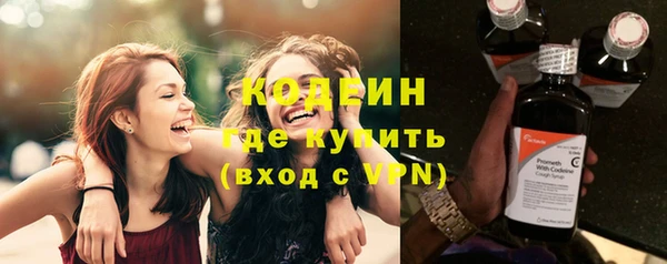 индика Видное