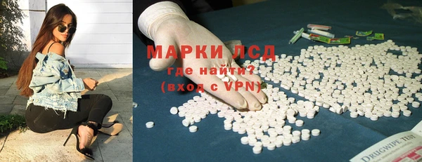 эйфоретик Няндома
