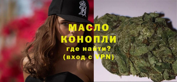 эйфоретик Няндома