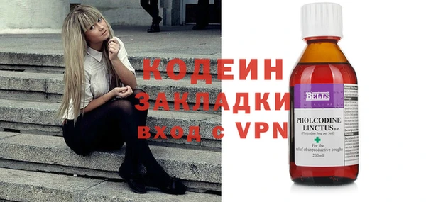 эйфоретик Няндома