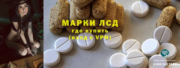 эйфоретик Няндома
