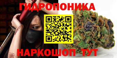 индика Ирбит