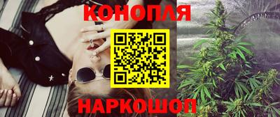 индика Ирбит