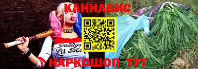 индика Ирбит