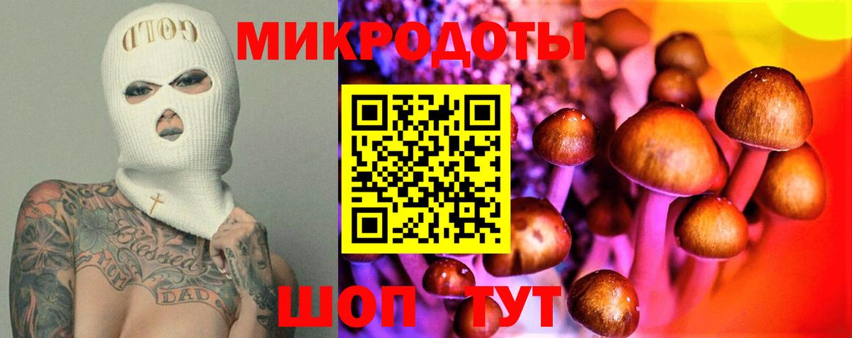 Нефтекамск  Галлюциногенные грибы Magic Shrooms  продажа наркотиков  Вход с VPN 